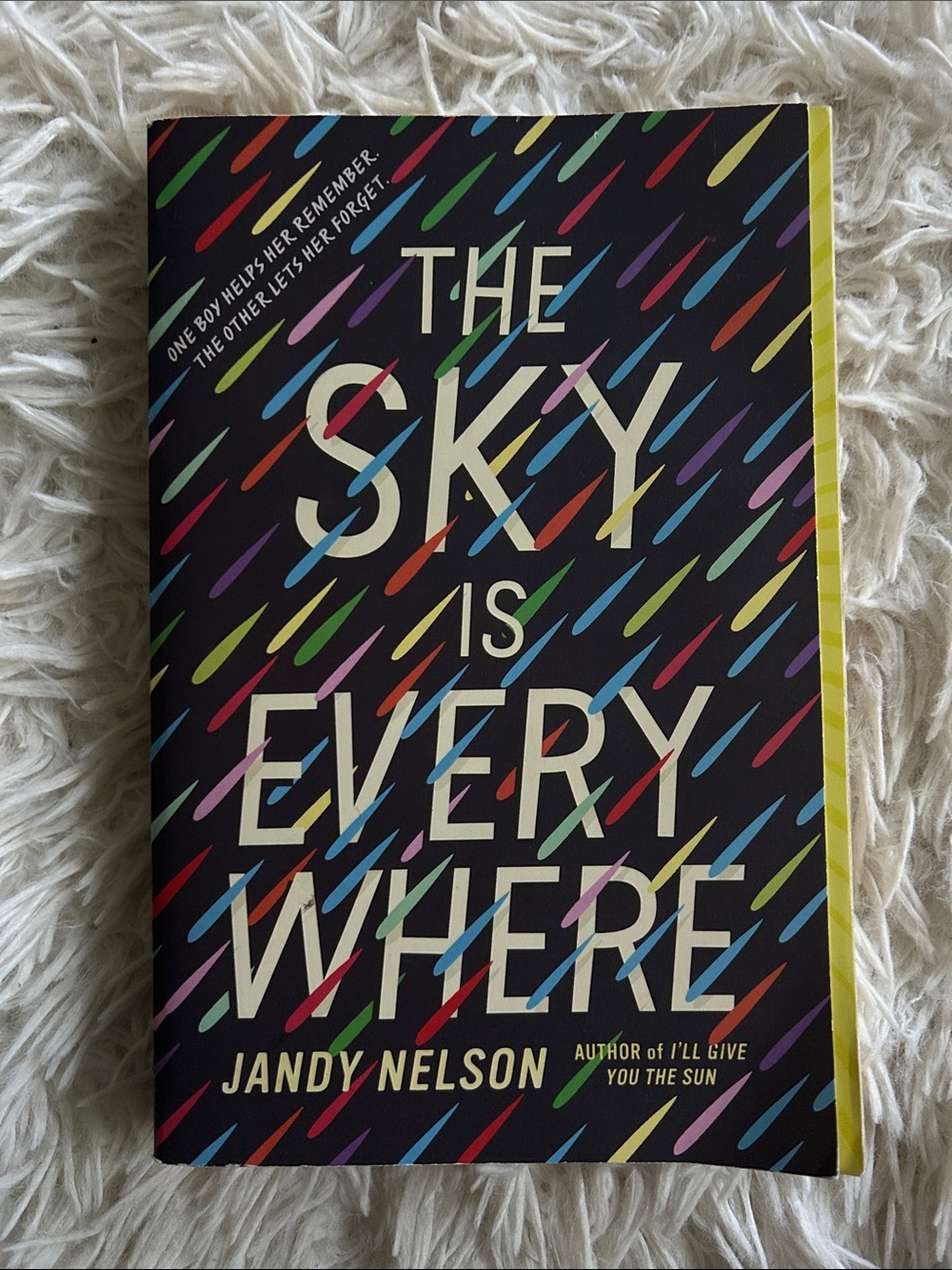 Jandy Nelson “The Sky Is Everywhere” Paperback - Multicolor